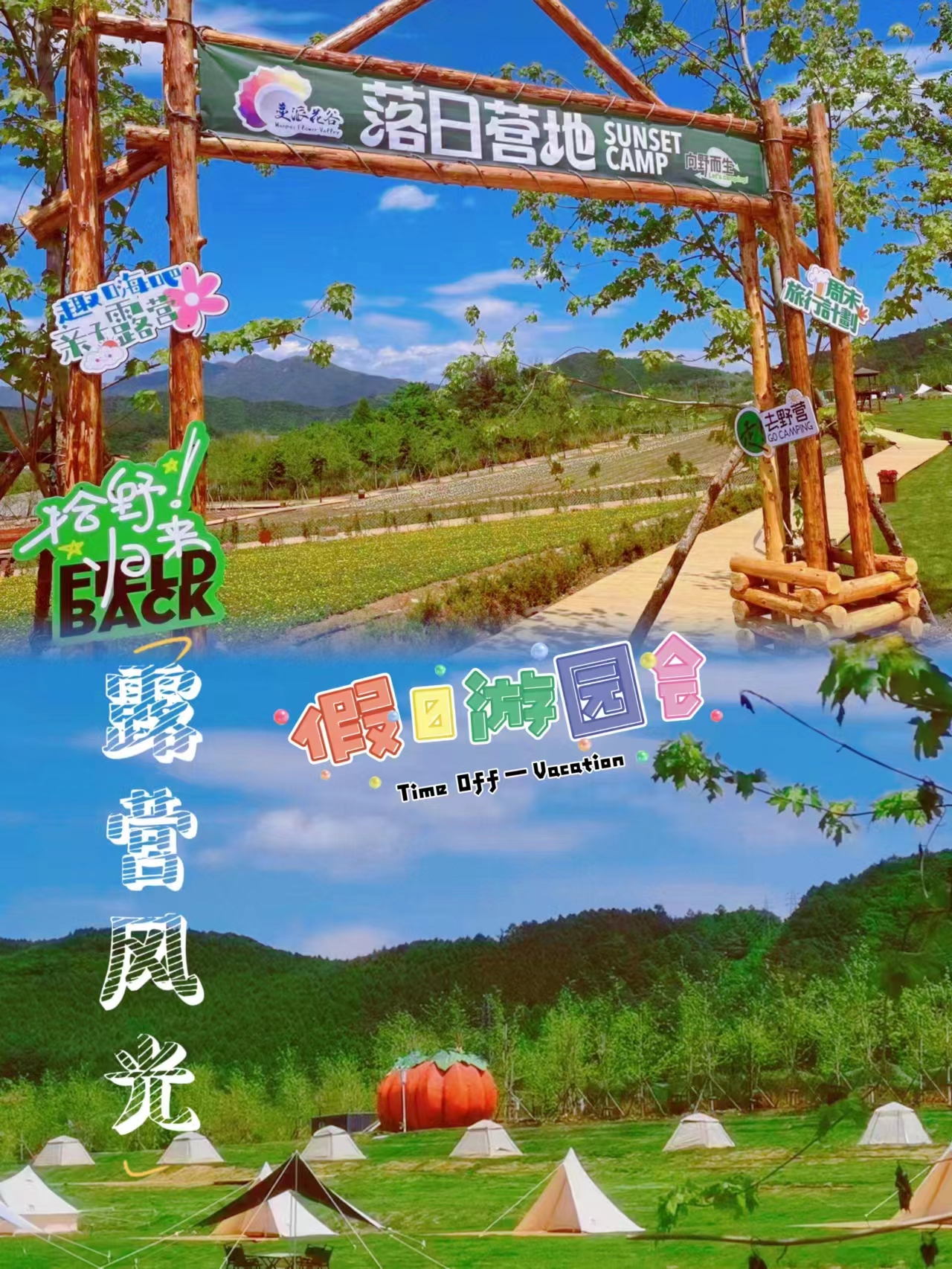 “蔓派花谷”梦幻花海浪漫上线！_金沙8888js水洞风物区